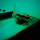 Illustration for article titled The only thing scarier than a real cockroach is the one in this found-footage short